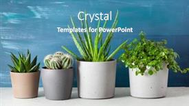  Presentation with aloe vera - Beautiful slide set featuring green-houseplants-cactus-succulent-aloe backdrop and a teal colored foreground
