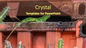  Presentation with green travel - Presentation having green-iguana-is-hiding-under background and a tawny brown colored foreground