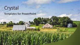  Presentation with corn - PPT layouts featuring green infrastructure - iowa countryside background focus background and a light blue colored foreground