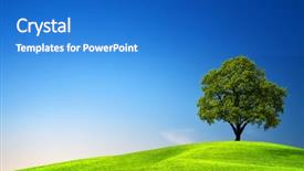  Presentation with green planet - Amazing PPT layouts having green island backdrop and a cobalt blue colored foreground