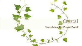  Presentation with ivy - Presentation theme enhanced with green-ivy-isolated-on-white background and a cream colored foreground