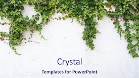  Presentation with ivy - PPT theme featuring green ivy isolated background and a sky blue colored foreground