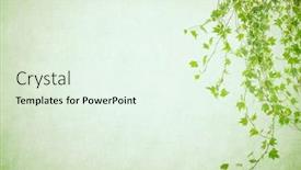  Presentation with antique paper texture - Cool new theme with green-ivy-on-old-grunge backdrop and a sky blue colored foreground