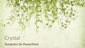  Presentation with antique paper texture - Colorful slide set enhanced with green-ivy-on-old-grunge backdrop and a cream colored foreground