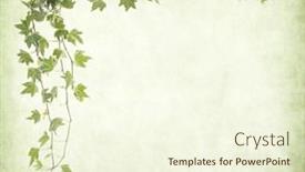  Presentation with antique paper texture - Audience pleasing PPT theme consisting of green-ivy-on-old-grunge backdrop and a cream colored foreground