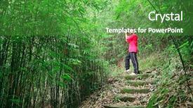  Presentation with career path for industrial automation - Slides enhanced with green job - photographer taking photo in bamboo background and a tawny brown colored foreground