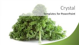  Presentation with green leaf - Cool new theme with green-kale-leaf-isolated backdrop and a white colored foreground