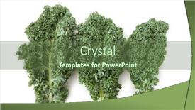 Presentation with green leaf - PPT theme featuring green-kale-leaf-isolated background and a tawny brown colored foreground