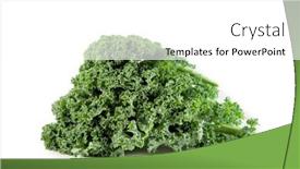  Presentation with green leaf - Amazing theme having green-kale-leaf-isolated backdrop and a white colored foreground