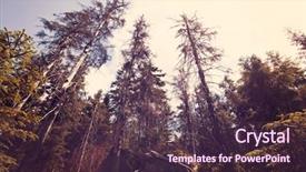  Presentation with sugarcane fields mountains landscape nature - PPT layouts enhanced with green labyrinth - landscape of table mountains stolowe background and a tawny brown colored foreground