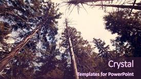  Presentation with mountains - PPT theme consisting of green labyrinth - landscape of table mountains stolowe background and a wine colored foreground