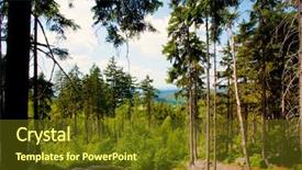  Presentation with mountain view - Colorful theme enhanced with green labyrinth - view on szczeliniec wielki mountain backdrop and a  colored foreground