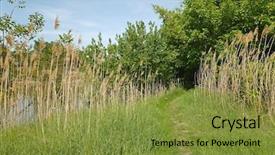  Presentation with path - Beautiful theme featuring green lakeside path in spring backdrop and a gold colored foreground