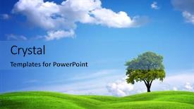  Presentation with oak tree - Audience pleasing slide set consisting of green landscape with oak tree backdrop and a light blue colored foreground