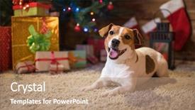  Presentation with dog christmas - Colorful presentation design enhanced with green lantern - dog jack russel backdrop and a coral colored foreground