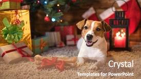  Presentation with christmas candles - Amazing theme having green lantern - dog jack russel backdrop and a coral colored foreground