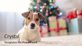  Presentation with dog house - Beautiful slide deck featuring green lantern - merry christmas dog jack russell backdrop and a lemonade colored foreground