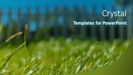  Presentation with green lawn - 