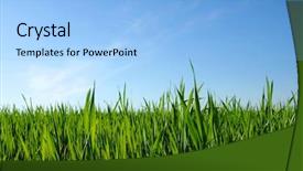  Presentation with green lawn - Presentation with green lawn on the sky background and a light blue colored foreground