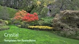 Presentation with beds - Amazing slides having green lawn surrounded by flower backdrop and a tawny brown colored foreground