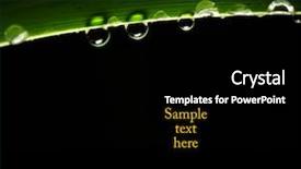  Presentation with green leaf - Amazing presentation having green leaf and drop background backdrop and a black colored foreground