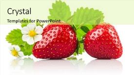  Presentation with green leaf - Presentation design featuring green leaf and flower background and a soft green colored foreground