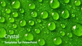  Presentation with green leaf - Theme enhanced with green leaf background with raindrops background and a  colored foreground
