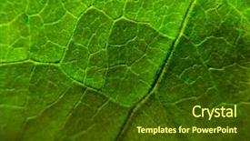  Presentation with green chemistry close up - Beautiful presentation design featuring green leaf close-up background backdrop and a tawny brown colored foreground