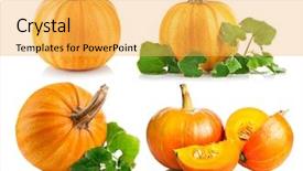  Presentation with water rain drop hanging on a fresh green leaf - Theme consisting of green leaf isolated on white background and a yellow colored foreground