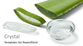  Presentation with aloe vera gel - Theme having green-leaf-of-aloe-vera background and a white colored foreground