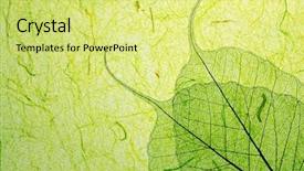  Presentation with plant tissue - Beautiful presentation design featuring green leaf on plant fibre backdrop and a yellow colored foreground