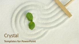  Presentation with meditation green - Slides featuring green leaf on raked white sand of a zen garden symbol of life and meditation background and a lemonade colored foreground
