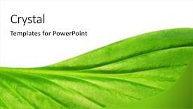  Presentation with white and green - Slides with  background and a  colored foreground