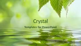  Presentation with water leaf - Slide deck with green leaf reflecting in river background and a mint green colored foreground