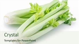  Presentation with celery - PPT theme with green leaf stalks of celery background and a soft green colored foreground