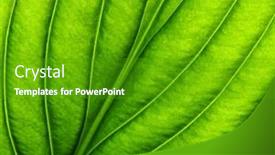  Presentation with green leaf - Cool new slide deck with green-leaf-texture-macro-closeup backdrop and a shamrock green colored foreground