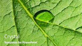  Presentation with green leaf water drops - Cool new slides with green leaf texture with water drops on it backdrop and a seafoam green colored foreground