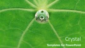  Presentation with green leaf water drops - Colorful slide deck enhanced with green leaf texture with water drops on it backdrop and a forest green colored foreground