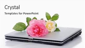  Presentation with together puzzle pieces beautiful - Slides consisting of green leaf touching water - beautiful roses and laptop put background and a  colored foreground