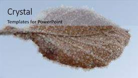  Presentation with ice crystals - Audience pleasing PPT theme consisting of green leaf touching water - leave with ice crystals backdrop and a  colored foreground