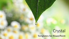  Presentation with water rain drop hanging on a fresh green leaf - Slide deck having remediation - green leaf with drop background and a soft green colored foreground