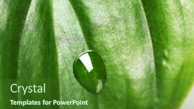  Presentation with droplet - Cool new PPT layouts with green-leaf-with-droplet-closeup backdrop and a forest green colored foreground