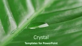  Presentation with droplet - Cool new PPT theme with green-leaf-with-droplet-closeup backdrop and a forest green colored foreground