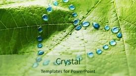  Presentation with green leaf water drops - PPT theme having green leaf with drops of water shaped as heart love concept background and a mint green colored foreground