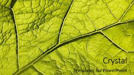  Presentation with green leaf - Presentation enhanced with green-leaf-with-macro-venation background and a gold colored foreground