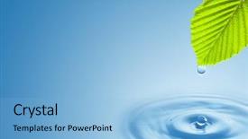  Presentation with green leaf water drops - Colorful presentation design enhanced with green leaf with splashing water backdrop and a light blue colored foreground