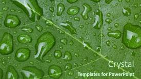  Presentation with water leaf - Presentation consisting of green-leaf-with-water-drop background and a tawny brown colored foreground