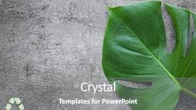  Presentation with water leaf - Colorful presentation design enhanced with green leaf with water drops backdrop and a gray colored foreground