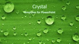  Presentation with green leaf water drops - Audience pleasing PPT layouts consisting of green leaf with water drops backdrop and a forest green colored foreground