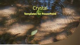  Presentation with leave - Presentation featuring green-leave-drop-on-water background and a tawny brown colored foreground
